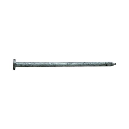 Pro-Fit Pro-Fit 4 in. Common Hot-Dipped Galvanized Steel Nail Flat Head 1 lb 0054208
